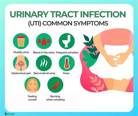 Symptoms Of Uti