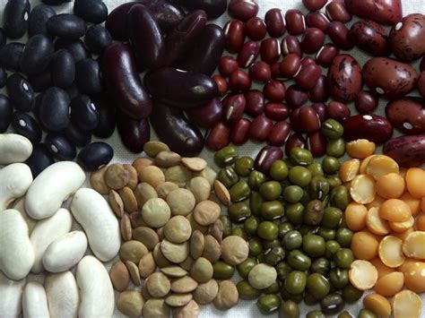 The Magical Fruit Beans Nutrition Comparison Haylie Pomroy The Magical Fruit Beans Nutrition Comparison Haylie Pomroy