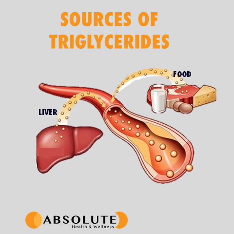 Triglycerides Normal Range: Know Your Levels Triglycerides Normal Range: Know Your Levels