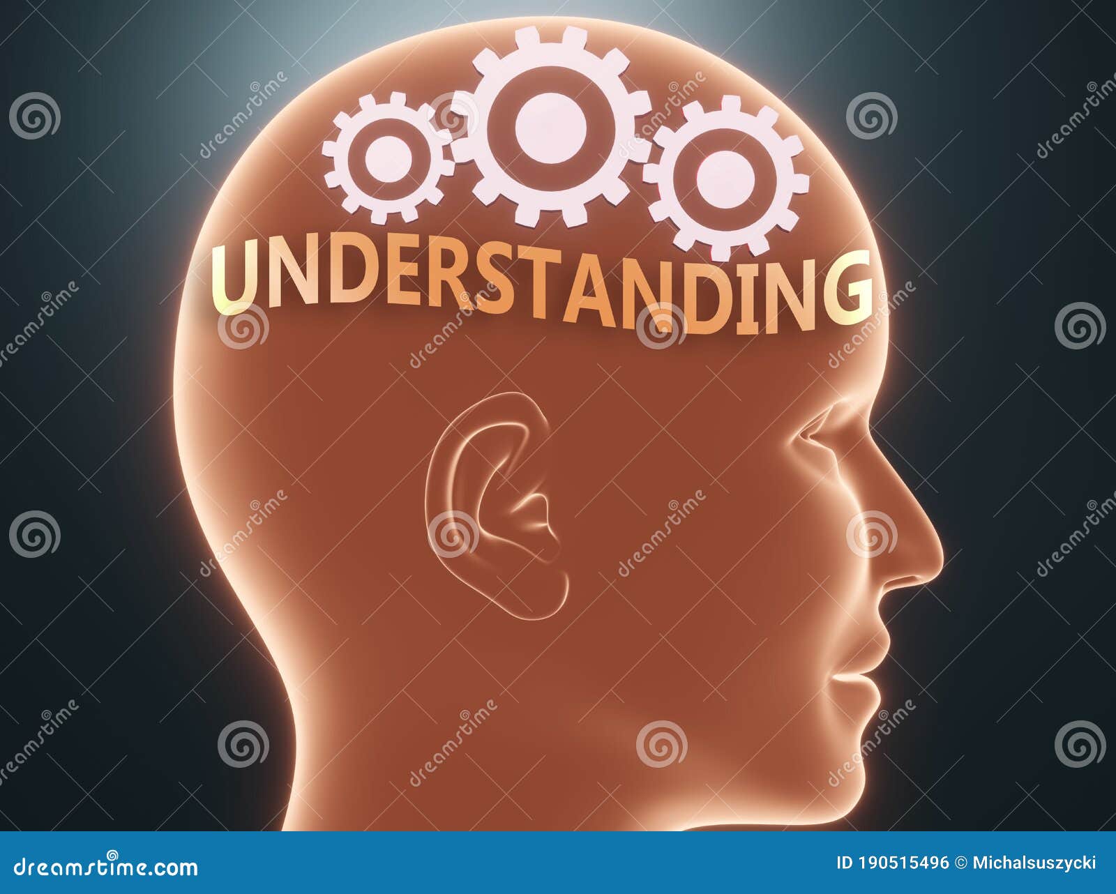Understanding The Use Of Amox Clav For Effective Treatment Of Understanding The Use Of Amox Clav For Effective Treatment Of