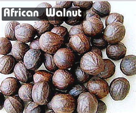 Walnut Near Me: Find Fresh Ones Now