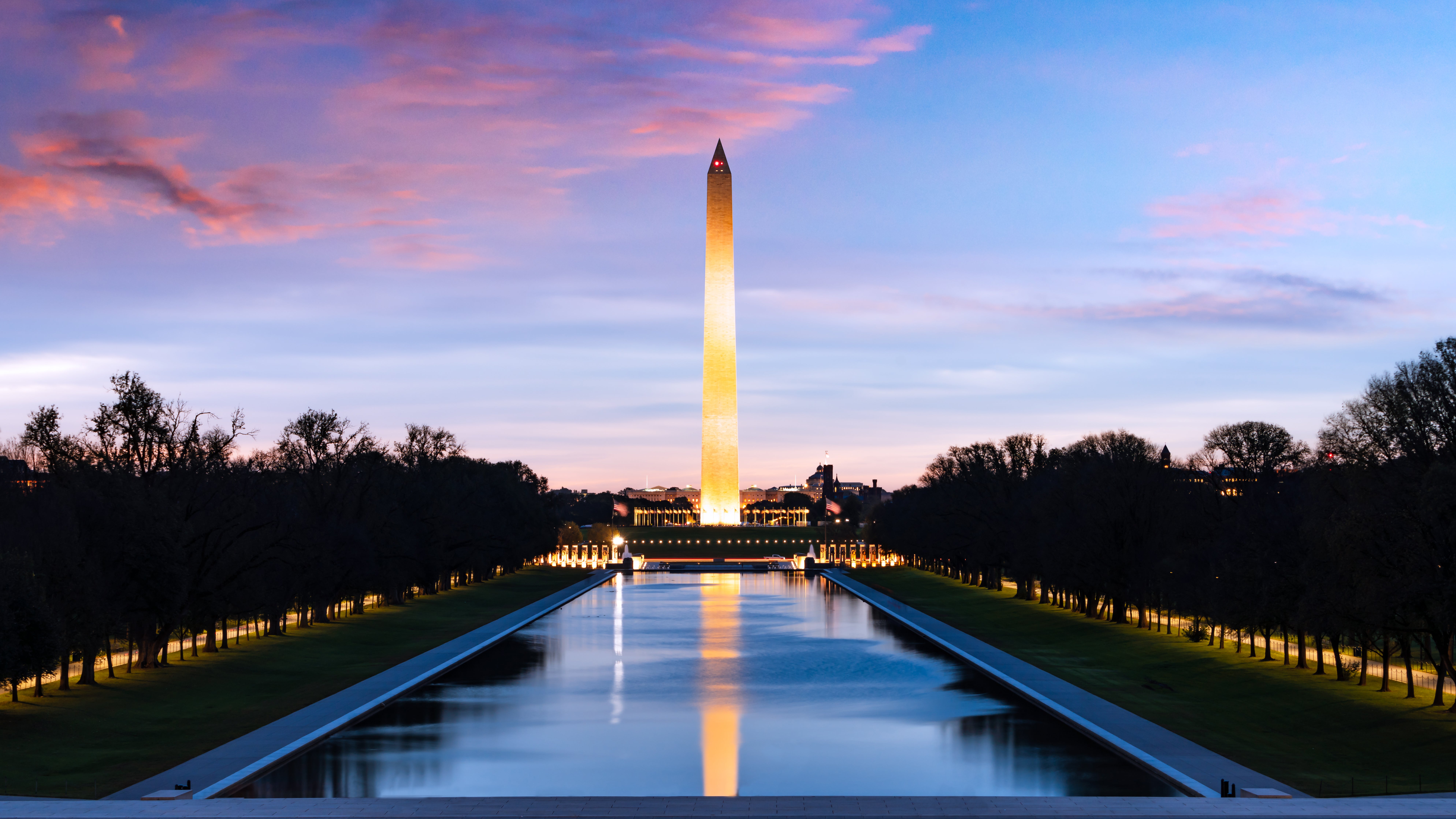 Washington Business Lookup