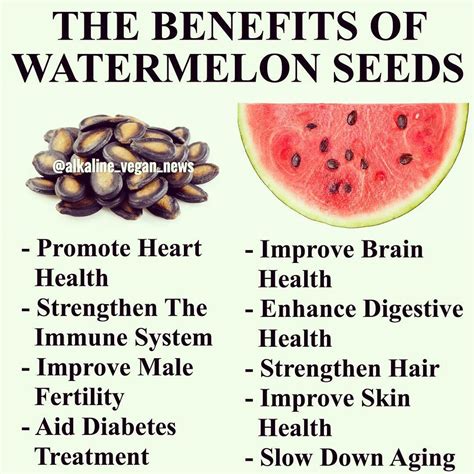Watermelon Seeds Benefits