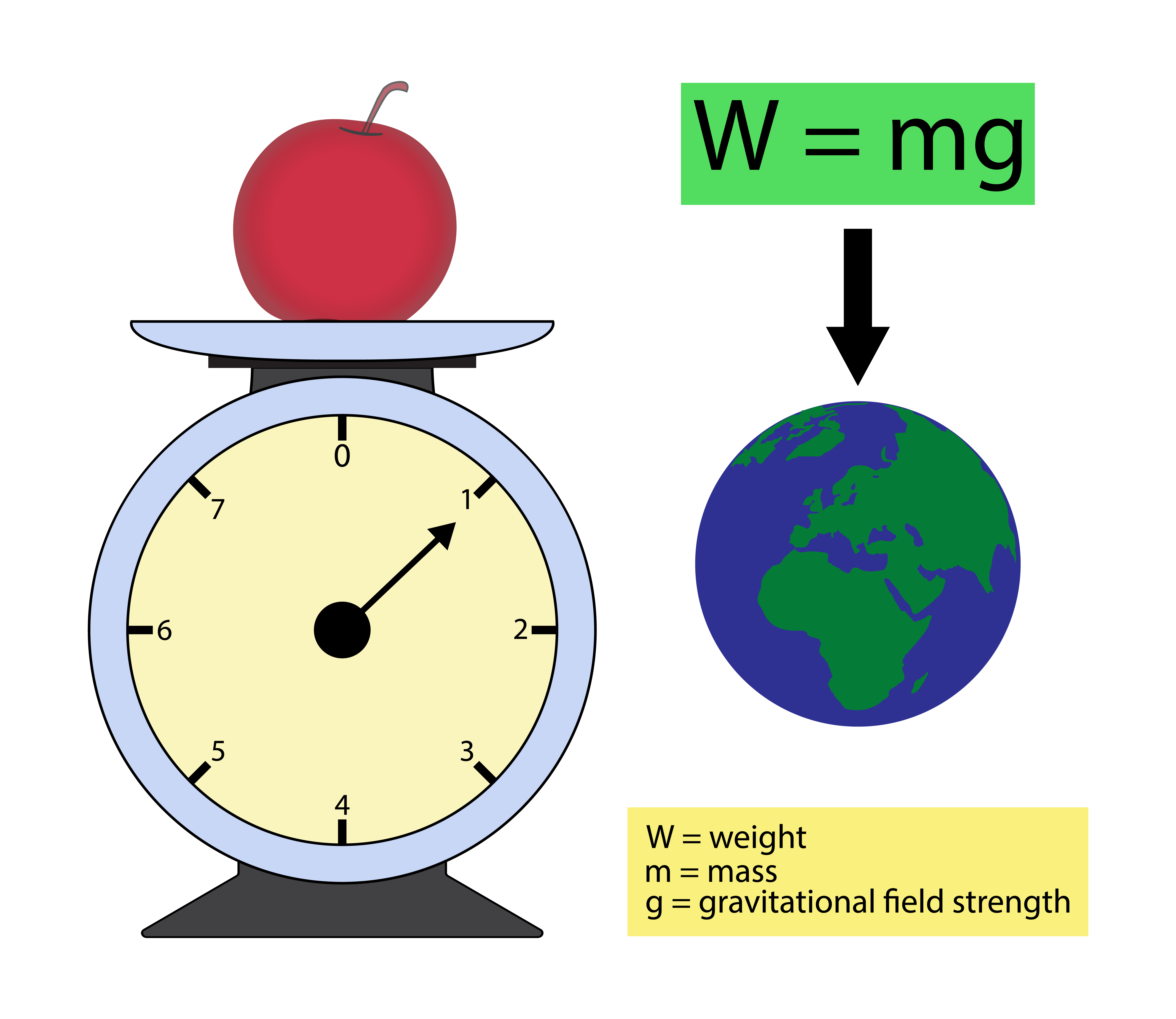 Weight Loss Medication: Effective Fat Burning Solutions