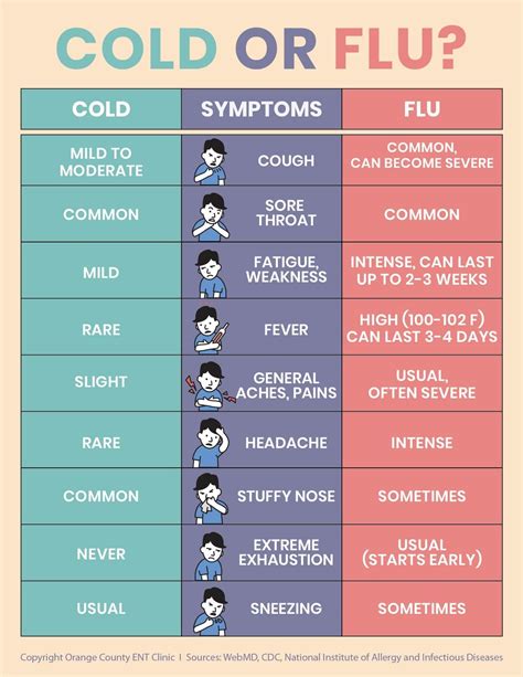 What Are Cold Symptoms 2024? Fast Relief Guide