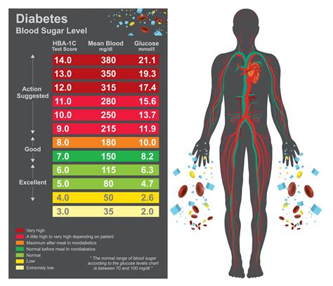 What Are Normal Bg Levels? Stable Control Tips