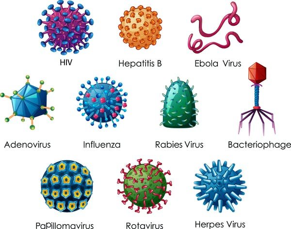 What Are Virus Symptoms? Quick Relief Guide