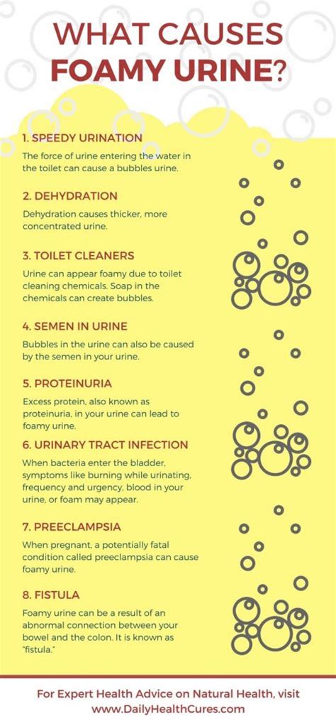What Causes Frothiness In Urine? Symptoms Checker