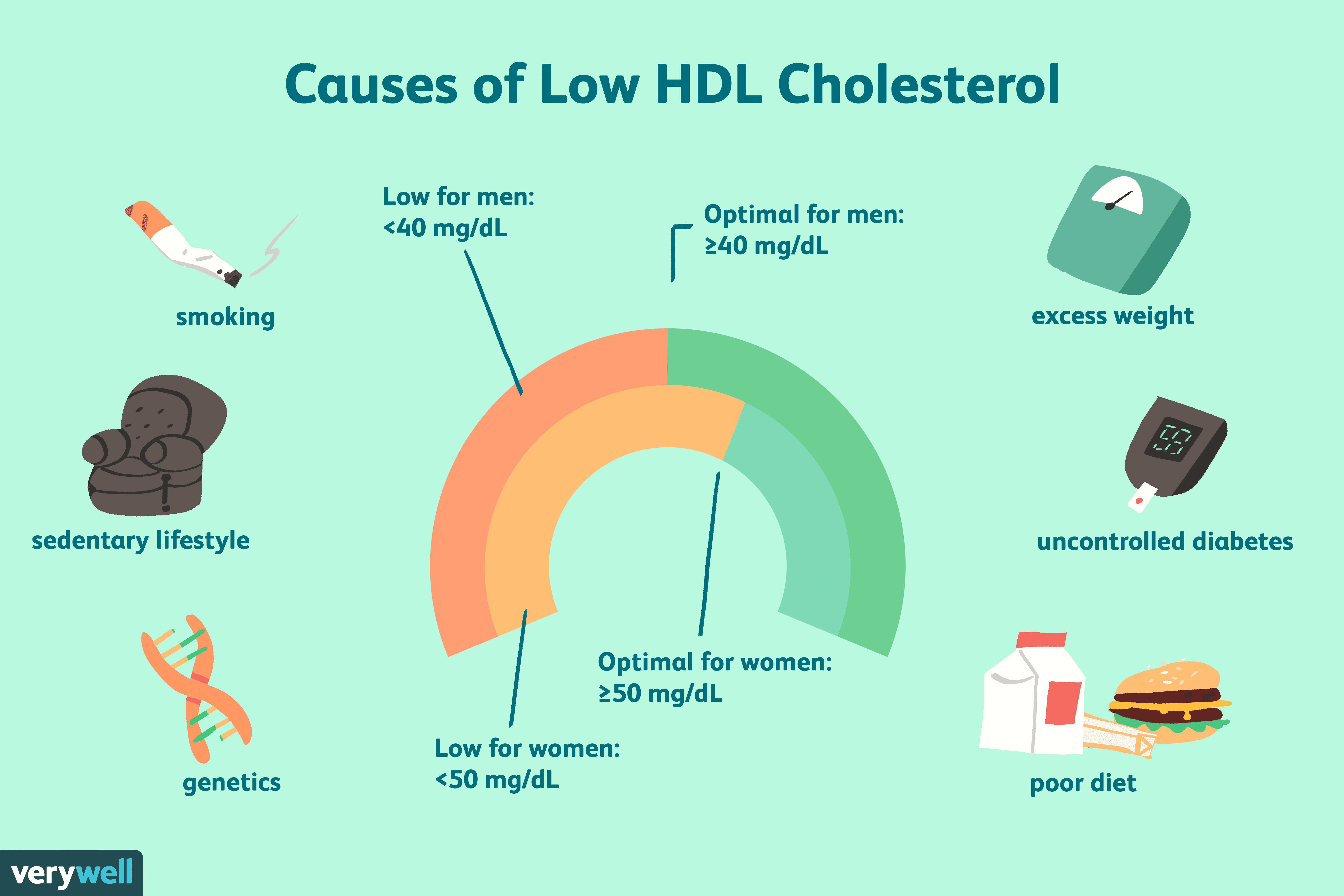 What Causes Low Bloodwork? Fixing Your Levels