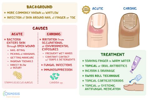 What Causes Paronychia Healing? Fast Recovery Tips