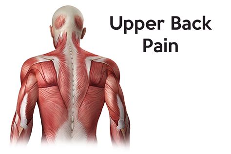 What Causes Upper Back Muscle Pain? Easy Relief