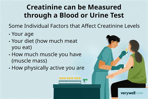 What Does Low Creatinine Clearance Mean What Does Low Creatinine Clearance Mean