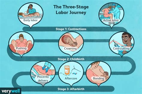 What Happens During Labor? A Stepbystep Guide