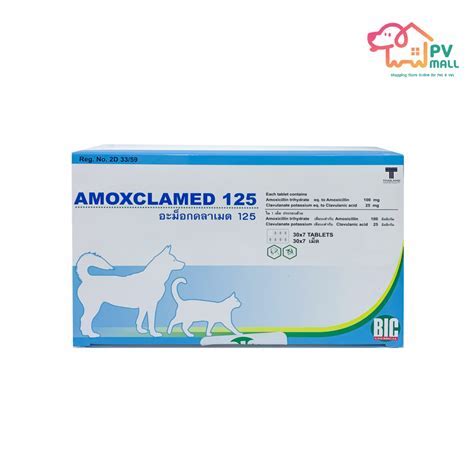 What Is Amox/K Clav 875125 Mg? Dosage Guide