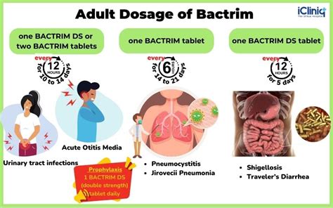 What Is Bactrim Used For? Effective Treatment Guide