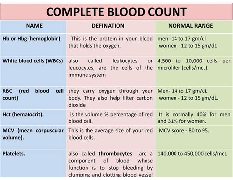 What Is Cbc Test