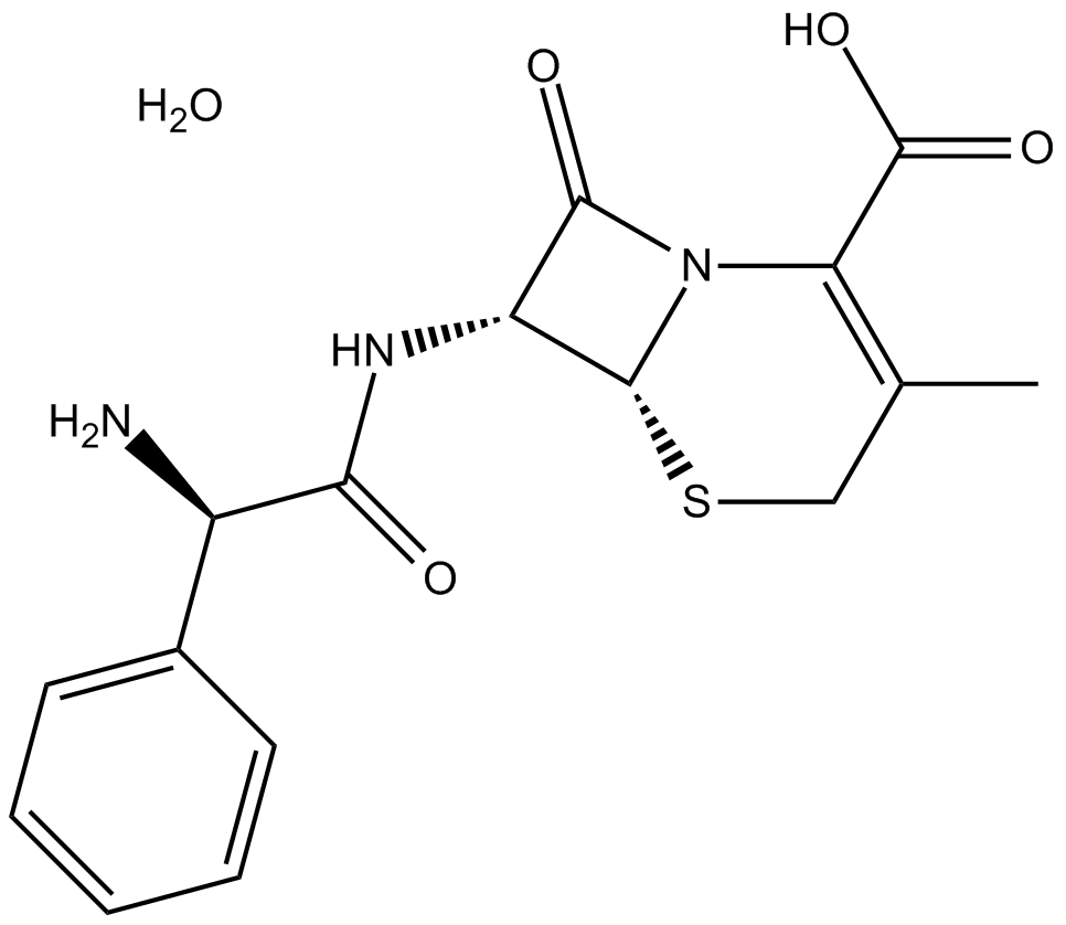 What Is Cephalexin