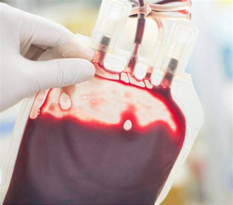 What Is Cord Blood Cbc Health Cbchealth De What Is Cord Blood Cbc Health Cbchealth De