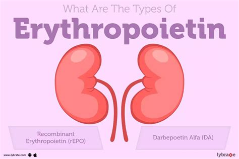 What Is Epo? Understand Its Meaning