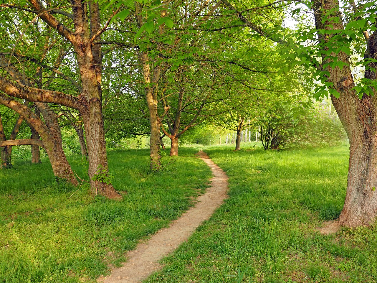 What Is Grove Diagnostic Imaging? Expert Guidance