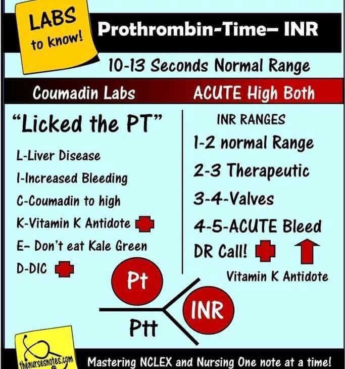 What Is Inr Normal Range? Stay Within Limits