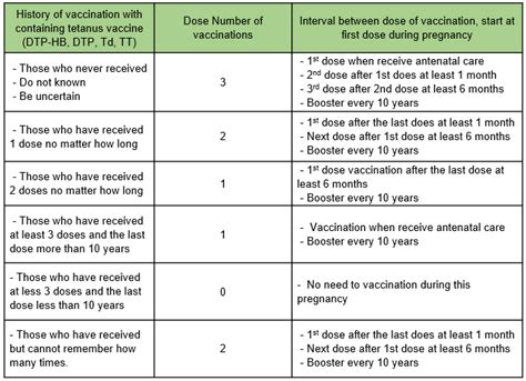 What Is Tetanus Shot Schedule? Vaccine Guide