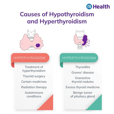 What Is Thyroid Stimulating Hormone Test? Accurate Results