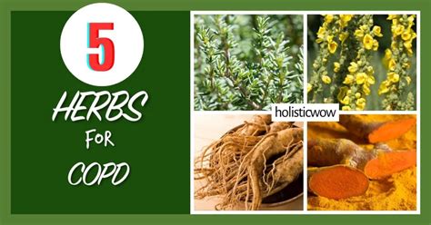 What Relieves Copd Symptoms? Natural Remedies Inside