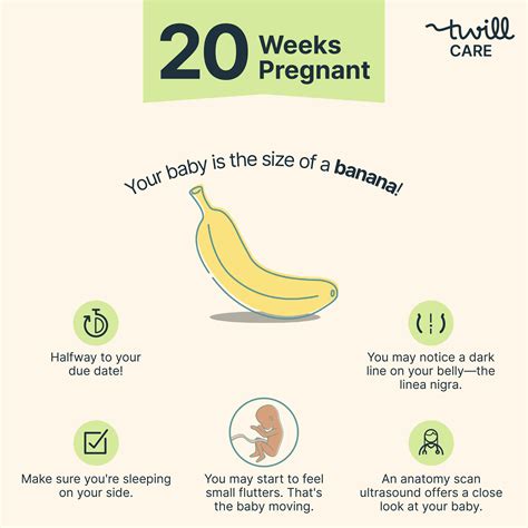 What To Expect 20 Weeks Tani Quentin What To Expect 20 Weeks Tani Quentin