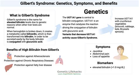 What Type Of Bilirubin Is Gilbert S Disease What Type Of Bilirubin Is