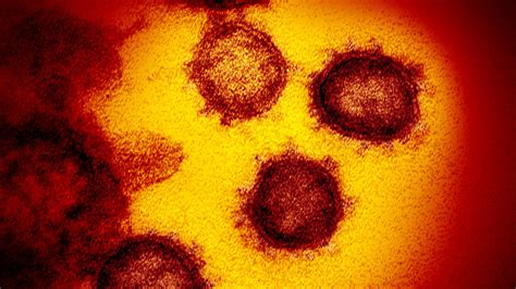 What's Covid Strain Now? Latest Updates