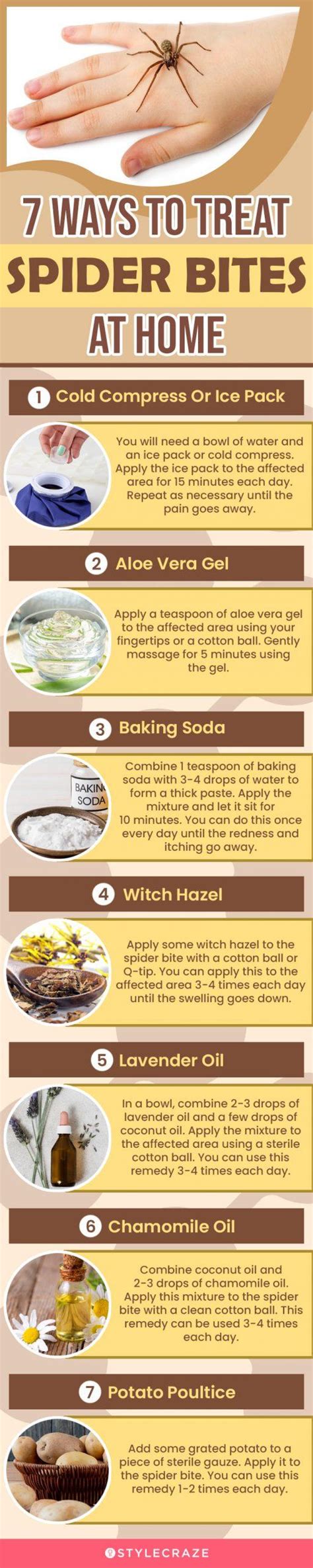 When Do Bedroom Spider Bites Heal? Quick Recovery Tips