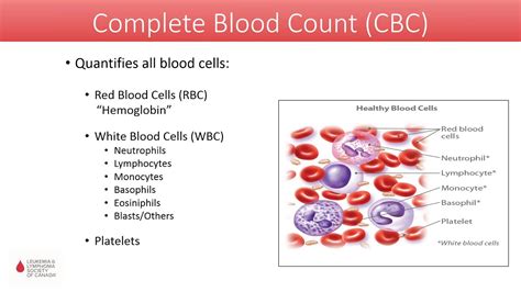 When Is Low Bloodwork Serious? Know Your Risks
