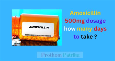 When To Take Amoxicillin 500Mg? Dosage And Usage Guide