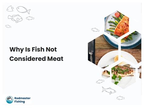Why Is Fish Not Meat Rodmasterfishing Com