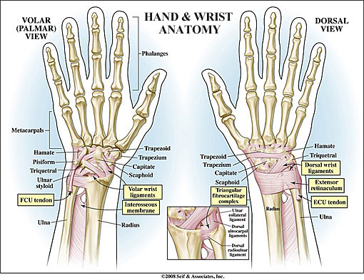 Wrist Tendonitis Treatment