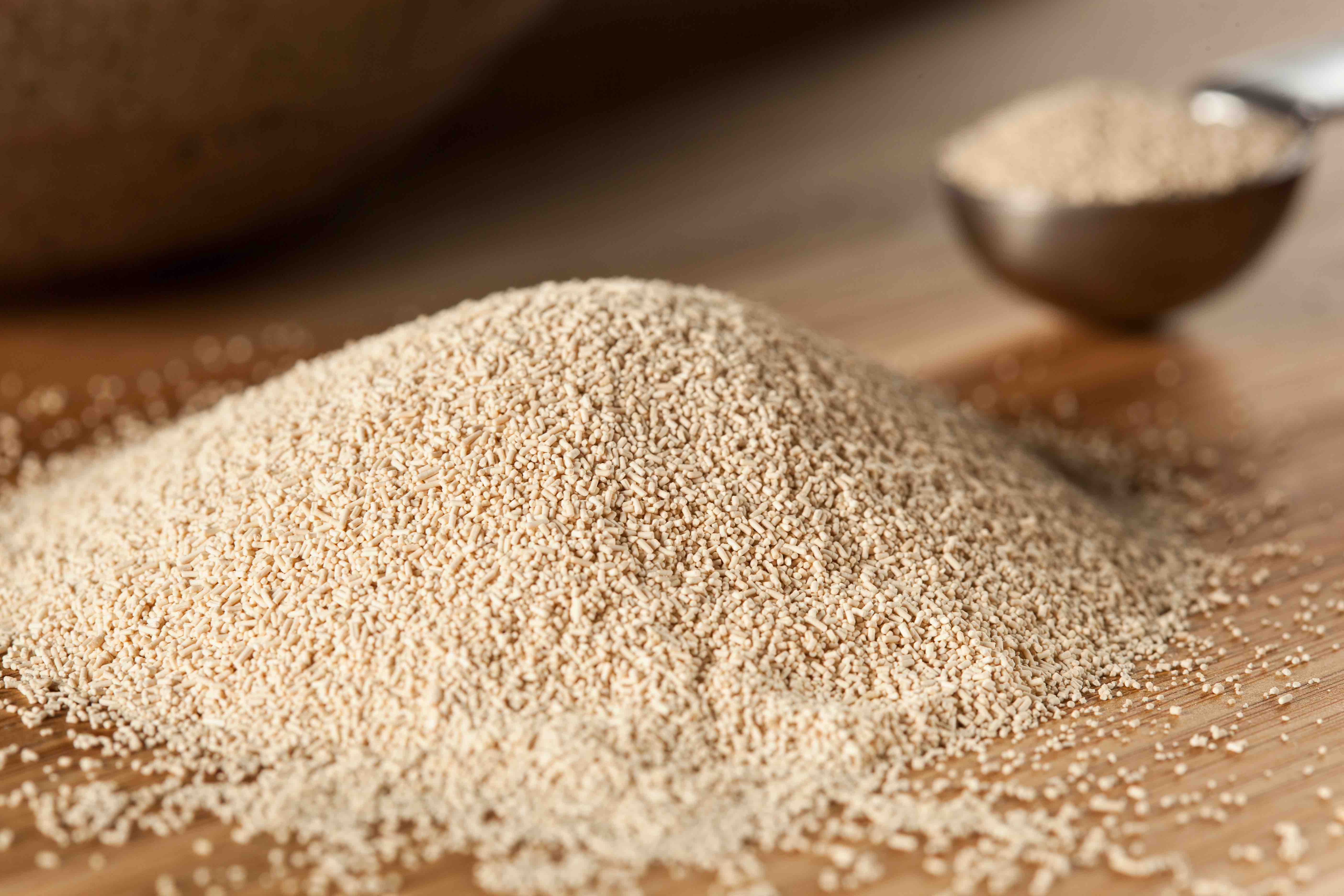 Yeast Infection Relief: Symptoms & Treatments