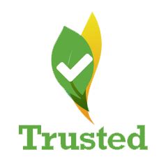 Youth Counselors Near Me: Find Trusted Support Now