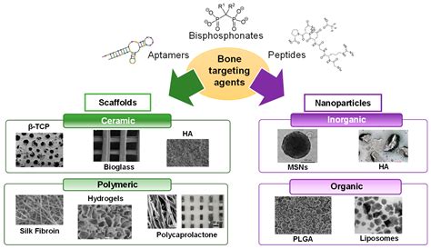 Biomaterials for expanding cells