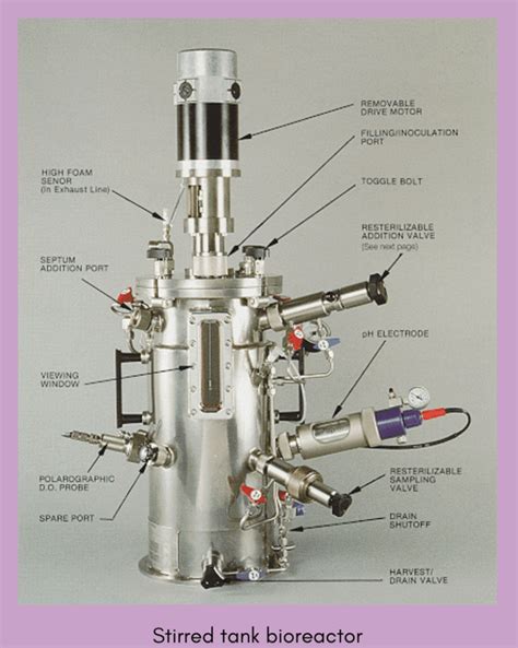 Bioreactors for expanding cells