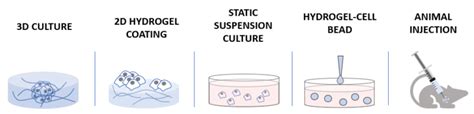 Cell culture methods for expanding cells