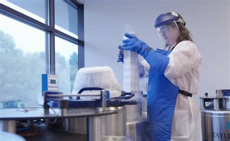 Cell therapy and expansion