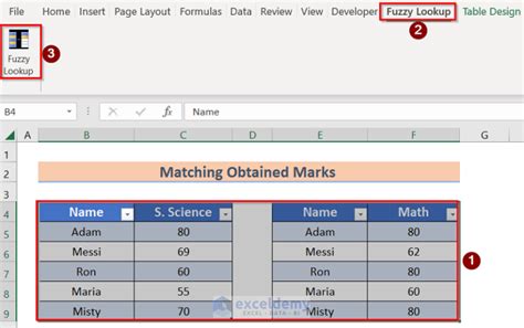 Fuzzy Lookup Add-in Features