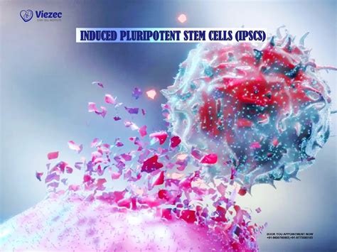 Induced pluripotent stem cells for expanding cells