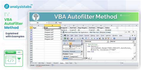 Practical Examples of Excel Autofilter VBA