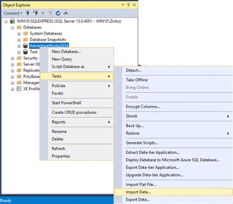 SQL Server Import and Export Wizard