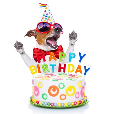 Birthday fun