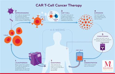 Cell Therapy
