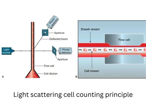 Electronic Counting Methods
