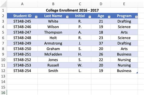 Excel Image Examples